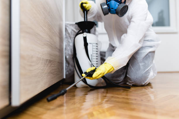 Flea Control Services in Jim Thorpe, PA