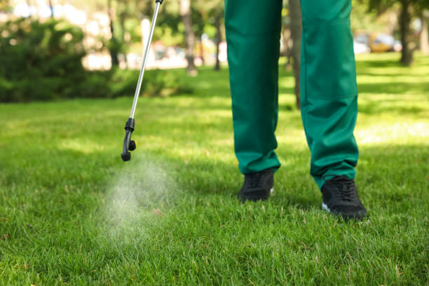 Best Emergency Pest Control  in Jim Thorpe, PA