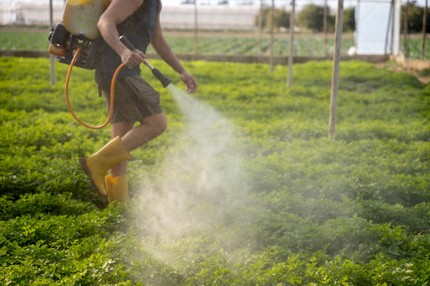 Best Commercial Pest Control Services  in Jim Thorpe, PA