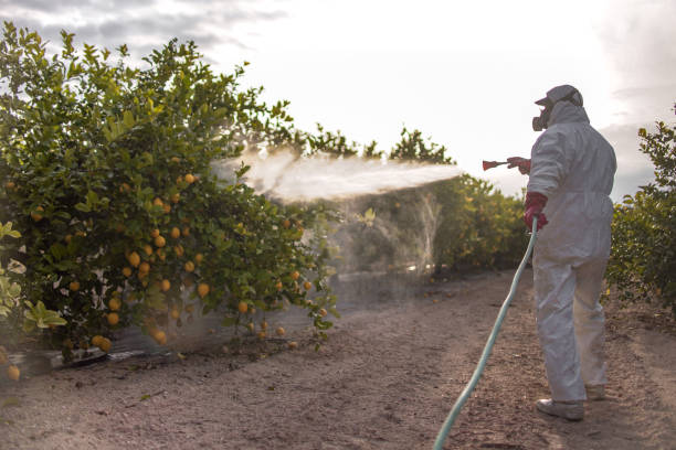 Pest Control for Restaurants in Jim Thorpe, PA