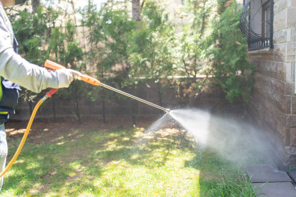 Best Rat Extermination Near Me  in Jim Thorpe, PA